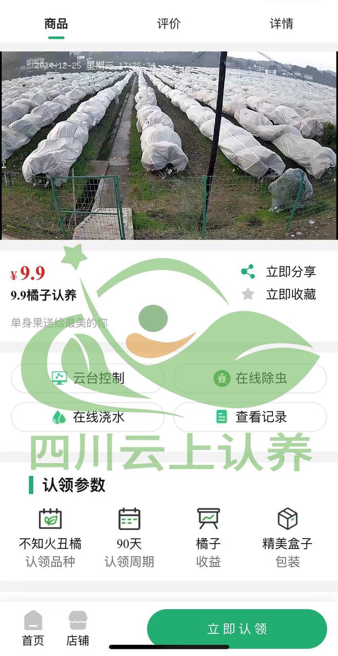 公司搭建可视化认养小程序！EVO视讯如何选择最佳技术(图2)